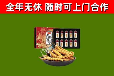 长春市回收冬虫夏草价格